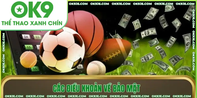 Các điều khoản về bảo mật