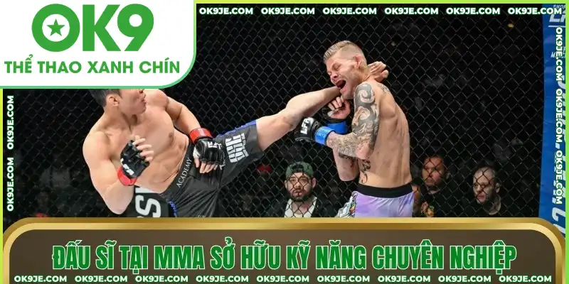 Đấu sĩ tại MMA sở hữu kỹ năng chuyên nghiệp