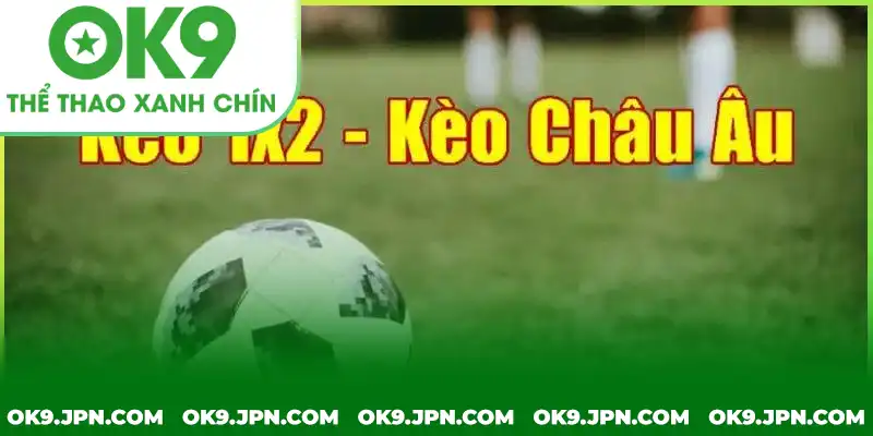 Hướng dẫn tính tiền thưởng kèo lựa châu Âu 1x2 chi tiết Hướng dẫn tính tiền thưởng kèo lựa châu Âu 1x2 chi tiết