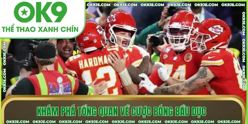 Khám phá tổng quan về cược bóng bầu dục