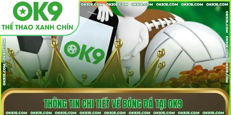 Thông tin chi tiết về bóng đá tại OK9