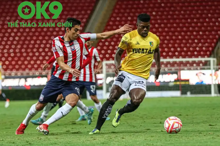 Tapatio đang có phong độ ấn tượng